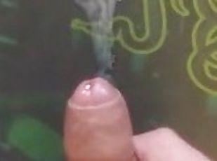 Gemuk (Fat), Besar (Huge), Besar sekali, Cumshot (keluarnya sperma), Penis besar, Remaja, Homo, Handjob (seks dengan tangan wanita pada penis laki-laki, Creampie (ejakulasi di dalam vagina atau anus dan keluarnya tetesan sperma), Wanita gemuk yang cantik