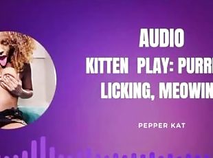 Kitten Play Audio: Purring, Meowing, Licking