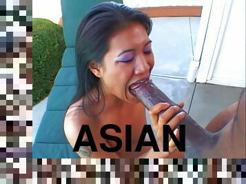 Mandingo's Asian Pretty Girl Lyla Lei