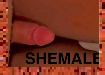 shemale, amatör, anal, rumpa, slyna, pov, bitch, vacker, kuk