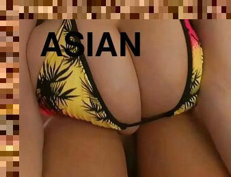 asia, payudara-besar, bikini, besar