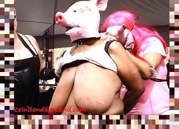 Artist Alley Piggy Folsom - Kinky FEMDOM