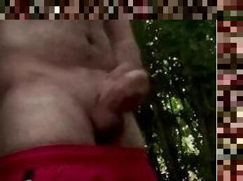 UK  public woodland wank.