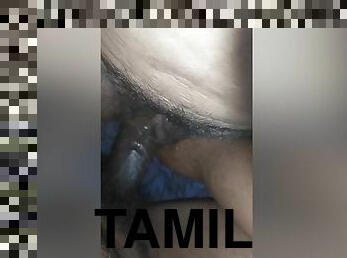 Sex In Tamil Husband Wife