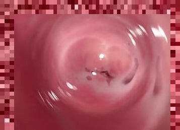 Internal camera inside tight creamy Vagina, Dick's POV