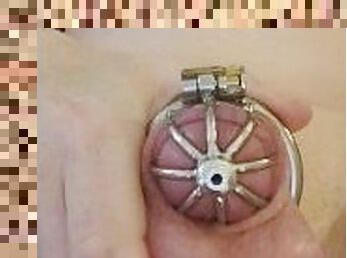 Using an anal vibrator while locked in a tiny cage