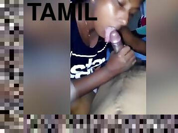 Tamil Girl Blowjob