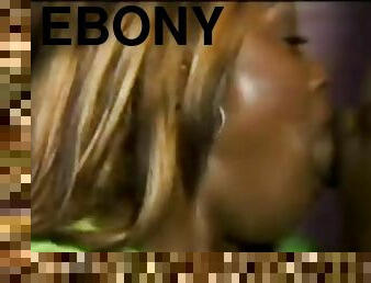 Ebony retro dp 5