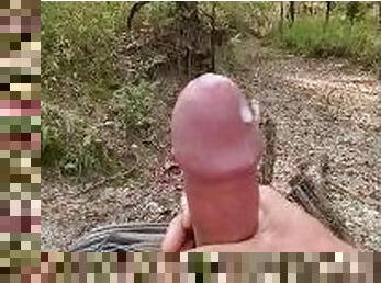 mastrubacija, zunaj, amaterski, odrasle, prihajanje, velik-penis, pov, solo, gozd, kurac