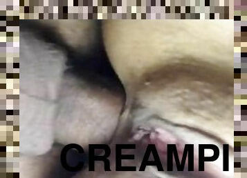 amatör, anal, latinska, creampie