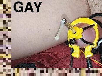cumshot, leksak, hardcore, gay