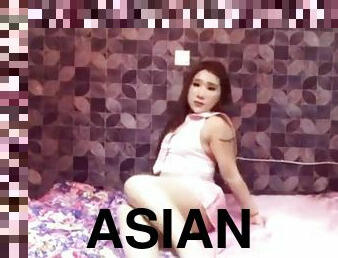 asien, masturbieren, transsexueller, schüler, dilettant, beule-schuss, junge, ladyboy, beule, brunette