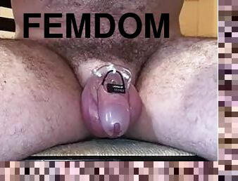 gay, ensam, femdom