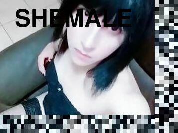 sexy shemale