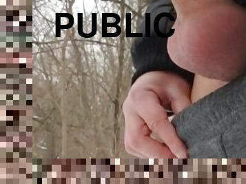 Flashing dick publick