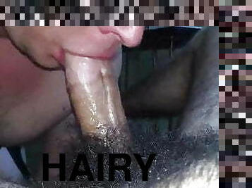 sucking hairy dick