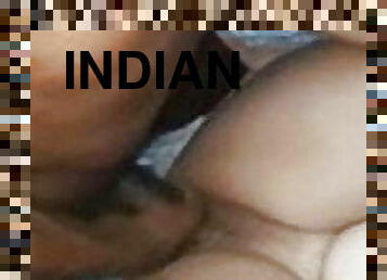 anjing, pelancapan, gadis-indian, hubungan-sex, sex-buntut