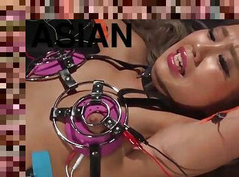 asiatisk, japansk, bdsm