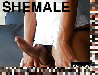 besar-huge, mastubasi, waria-shemale, anal, penis-besar, penis