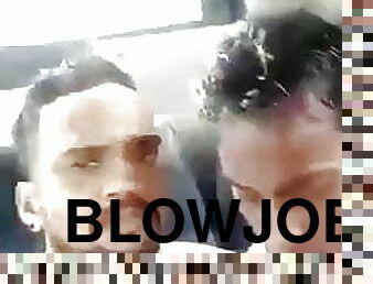 Bus Blowjob Gay