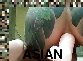 asiatisk, storatuttar, masturbation, gammal, anal, leksak, thailändsk, 18år, äldre, brunett