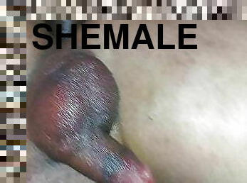 shemale, robienie-loda, gangbang, bdsm, młode18, bielizna, solo, małe-cycki