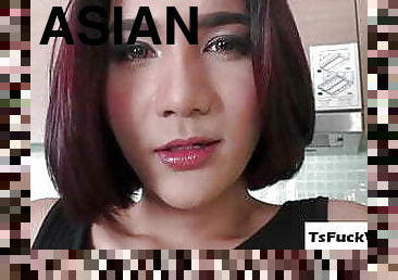 asien, transsexueller, anal-sex, tranny, geile