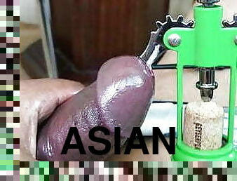 Asian cock sounding 2