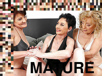 Three Mature Lesbians Licking Their Pussies Wet - MatureNL