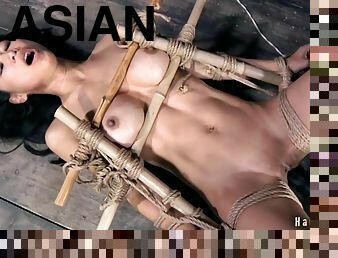 asiatisk, storatuttar, blandade-raser, milf, tonåring, leksak, deepthroat, bdsm, fetisch, bondage