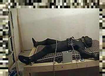 Young boy from Bremen with electro torture