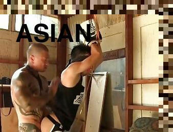 aasialainen, anaali, suihinotto, valtava-mulkku, lelu, gay, syväkurkku, bdsm, sidonta, tatuointi
