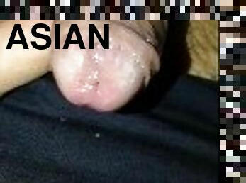 asiatisk, masturbation, tight, ensam, kuk