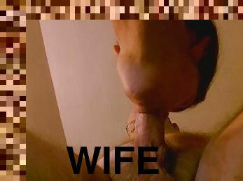 Wife sucking my cock