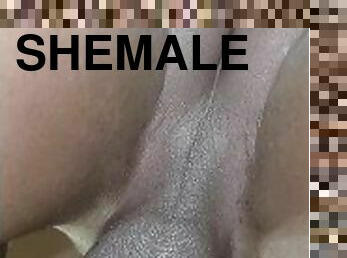 shemale, amatör, anal, gay, twink