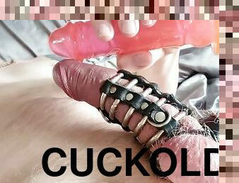 homosexuell, beule, allein, cuckold