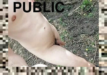 masturbation, publik, amatör, gigantisk-kuk, tonåring, bil, ensam, exhibitionist, park, verklighet