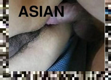 asiatiche, amatoriali, cazzi-enormi, interraziali, gay, pov, scopate, bianche, orsacchiotti, peni