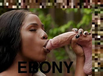 Kyle Mason is having hot love with ebony bitch Sarah Banks