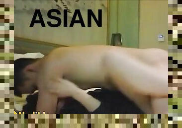 asiatiche, video-casalinghi, pornostar