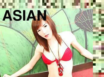 asiatique, transsexuelle, anal, fellation, hardcore