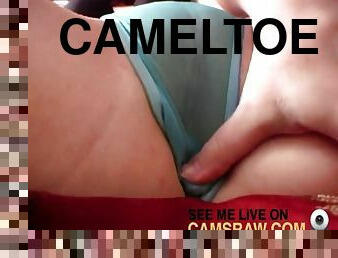 veliki, cameltoe