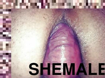 rumpe, shemale, anal, stor-pikk, tenåring, leke, creampie, bil, ladyboy, ung-18