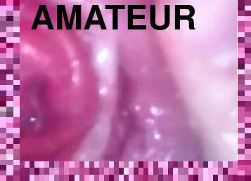 masturbation, amateur, anal, belle-femme-ronde, fétiche, solo