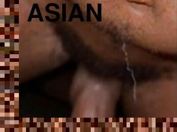 asiatiche, amatoriali, pompini, eruzioni-di-sperma, cazzi-enormi, donne-grasse-e-belle, pov, peni