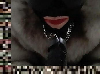 Fur bondage sissy desperate for dildo blowjob POV