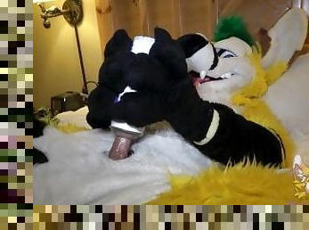 Furry uses sex toy until he cums