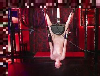 Nina rides the Sybian upside-down