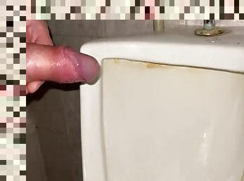 Pissing my beautiful cock with big balls in a public office toilet