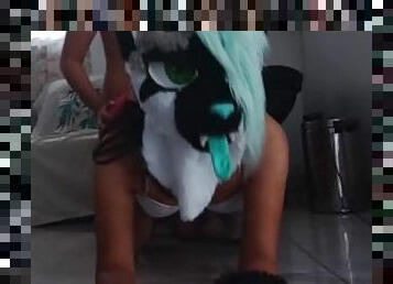 Furry Girl gets fucked